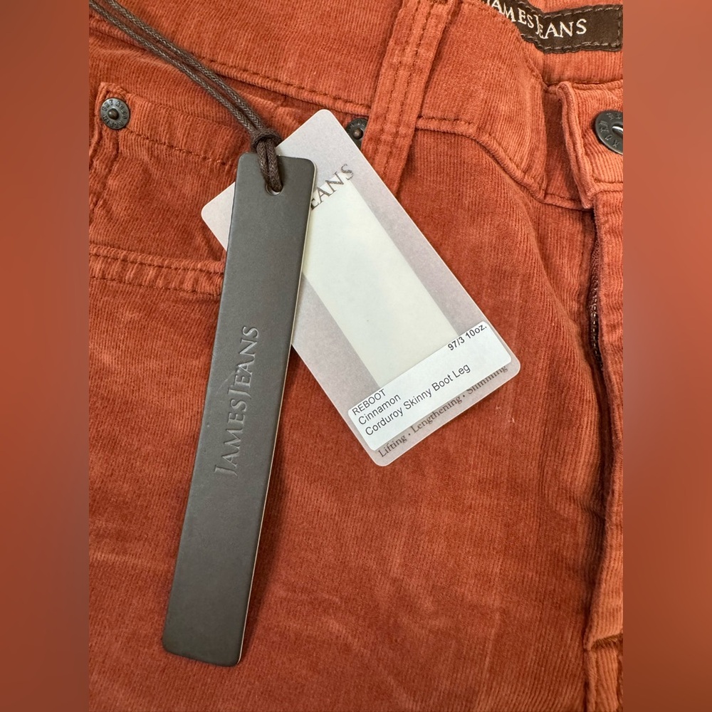 NWT James Jeans Terracotta Micro Corduroy Pants Size 25 Denim Style Womens Soft - Picture 7 of 11